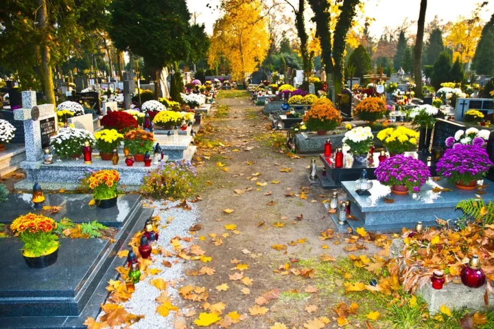 Bezpłatne sprzątanie grobów na cmentarzach Junikowo i Miłostowo